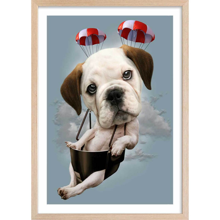 Affiche enfant chiot sur parachute  Affiche + cadre en bois - Chêne