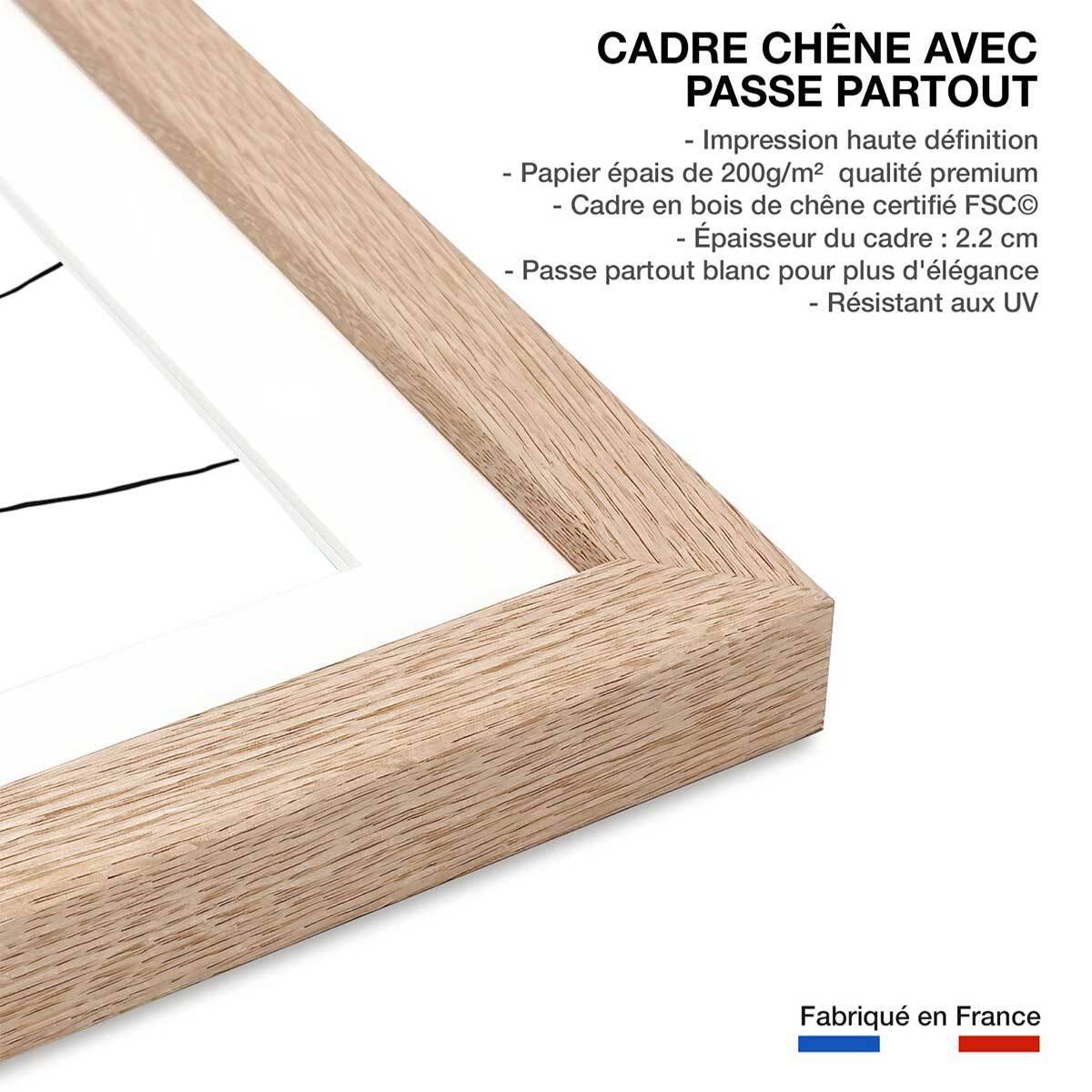 Poster voilier fougeres Affiche + cadre en bois - Chêne