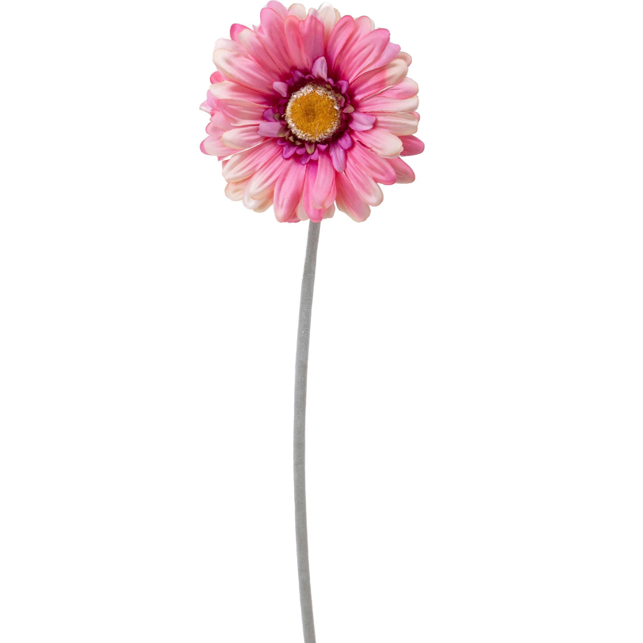 Fiore Di Gerbera. Altezza 53 Cm - Pezzi 24 - 12X53X12cm - Colore: Rosso - Bianchi Dino - Fiori Artificiali