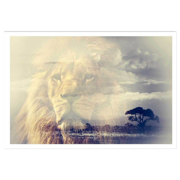 Affiche animaux lion and mount kilimanjaro Affiche seule