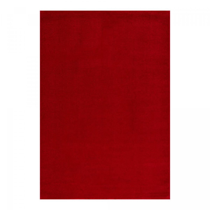 Tapis salon et chambre tissé motif uni PAJU