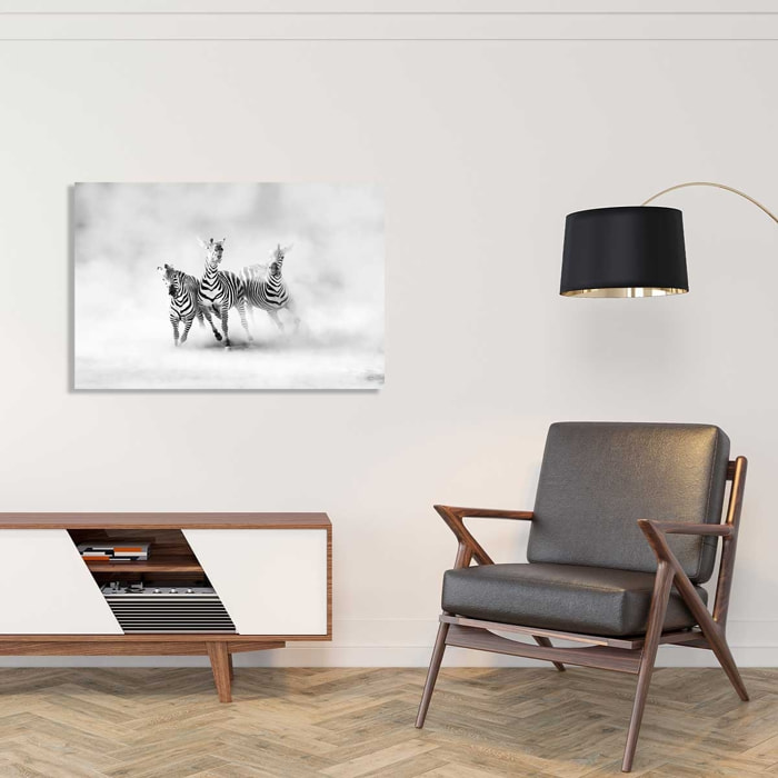 Tableau animaux racing stripes Tableau plexiglas