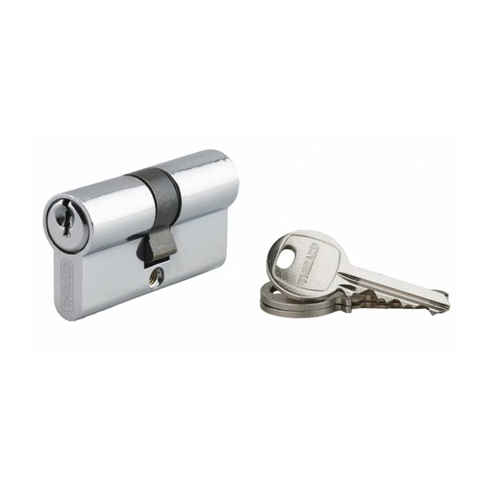 Cylindre de serrure à clé crantée Ecopro nickelé - 30 x 30 - Varié - THIRARD - 00007258