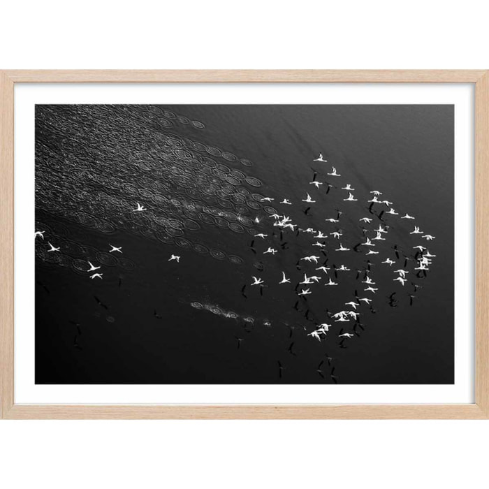 Affiche Take off Affiche + cadre en bois - Chêne