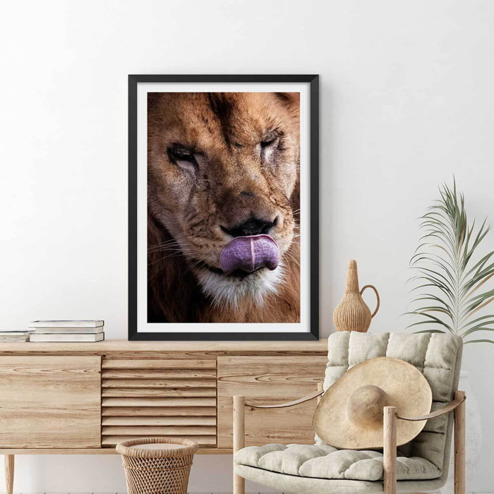 Affiche animaux delice de lion Affiche sous cadre noir