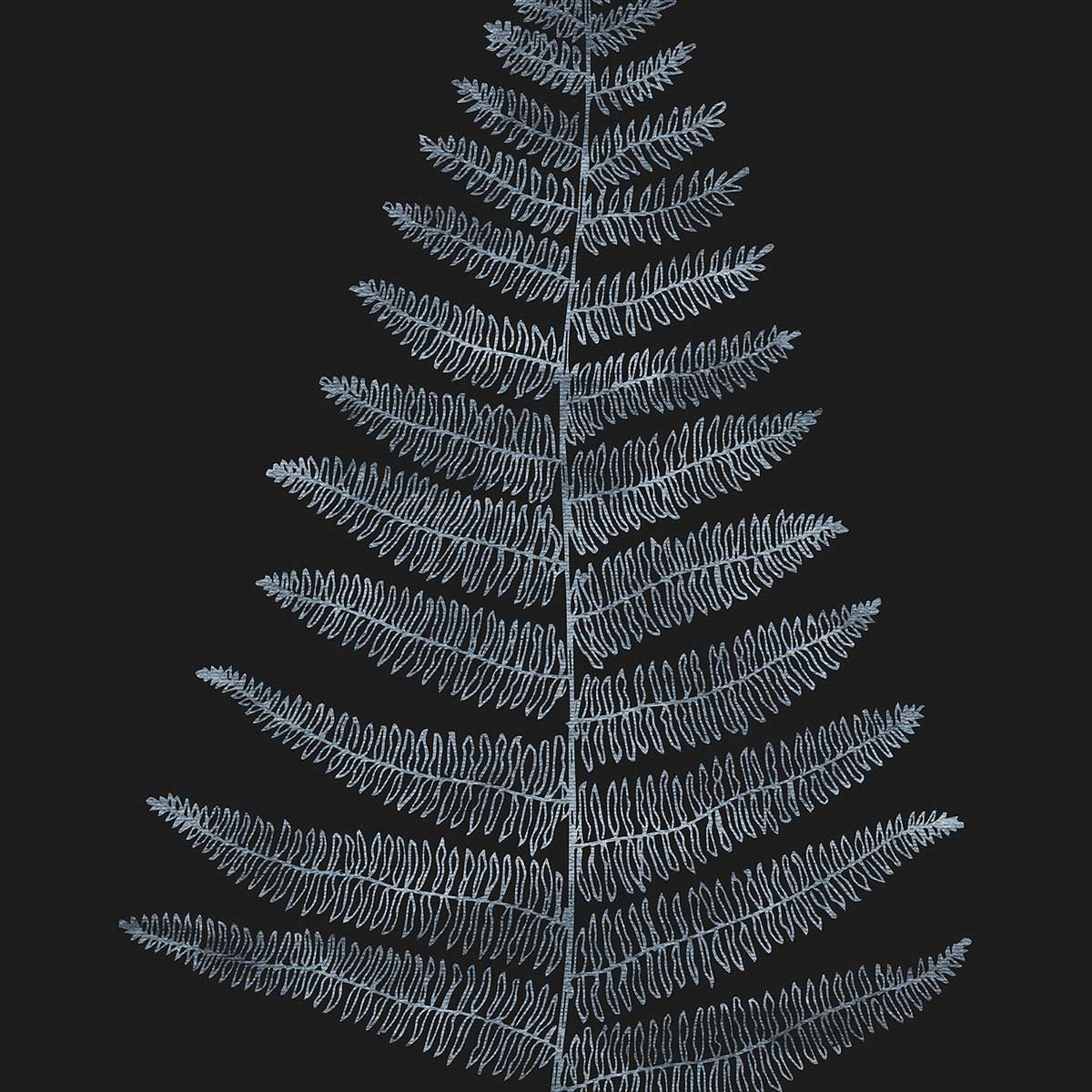 Tableau fougère royale blanche Tableau plexiglas