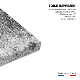 Tableau animaux girafe en instantanée  Toile imprimée