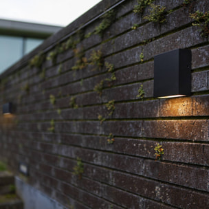 Applique murale secteur GEMINI XF BLACK
