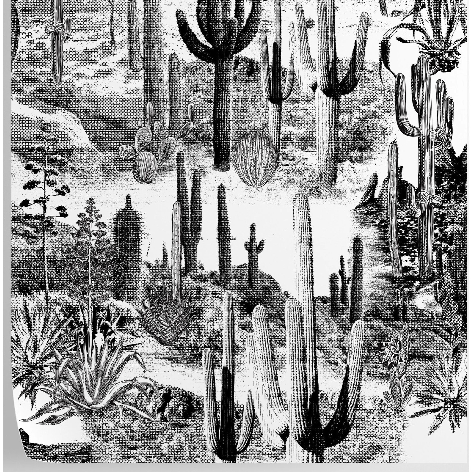 Carta da Parati Cactus