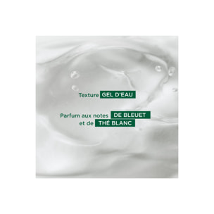 Bleuet BIO - Crème d’Eau