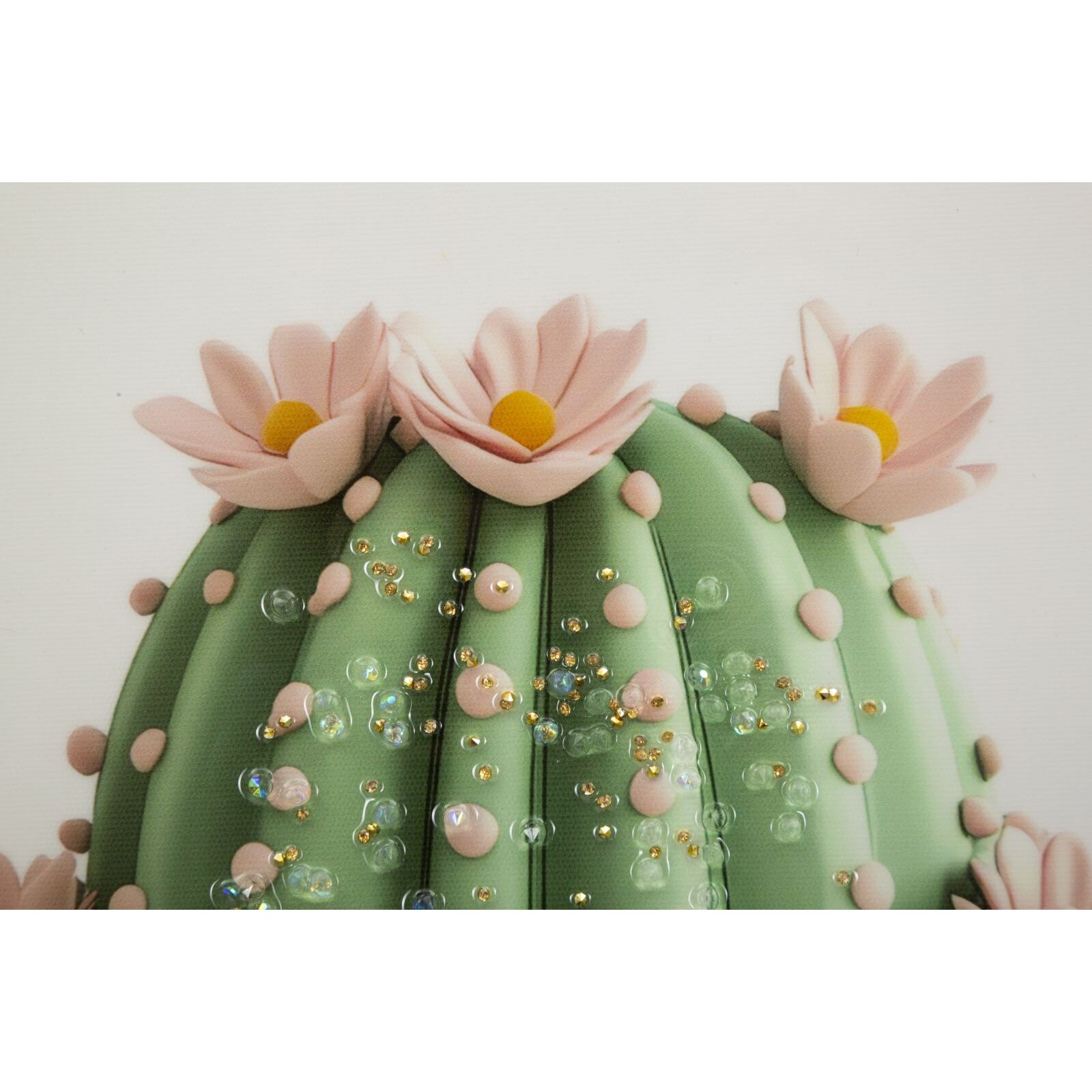 STAMPA SU TELA LACCATA C/CORNICE VASETTO CACTUS -B- CM 40X2,8X40