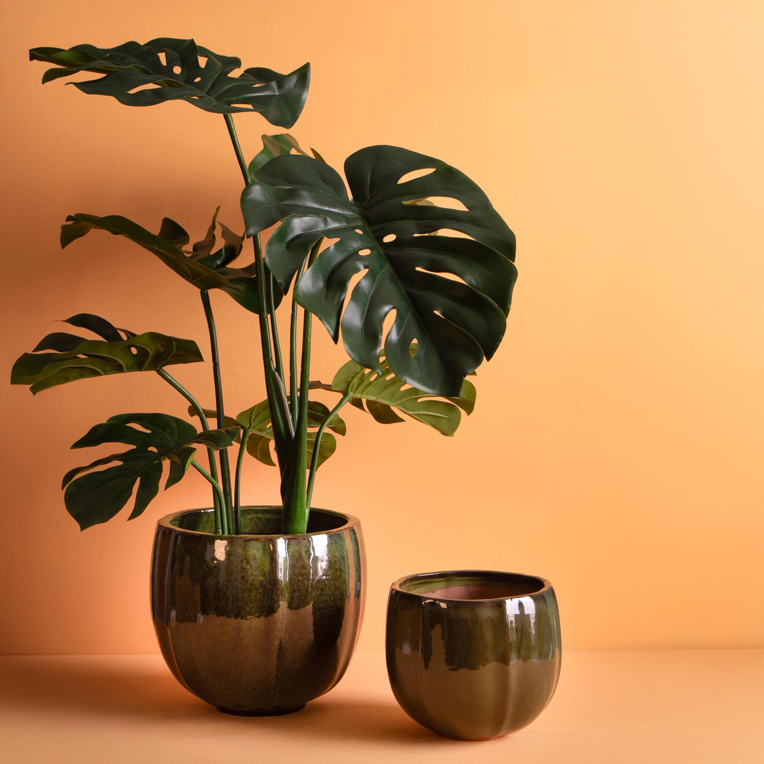 Set 2 vaso rotondo - Colore Verde - 27,5xH24x27,5cm - Bianchi Dino