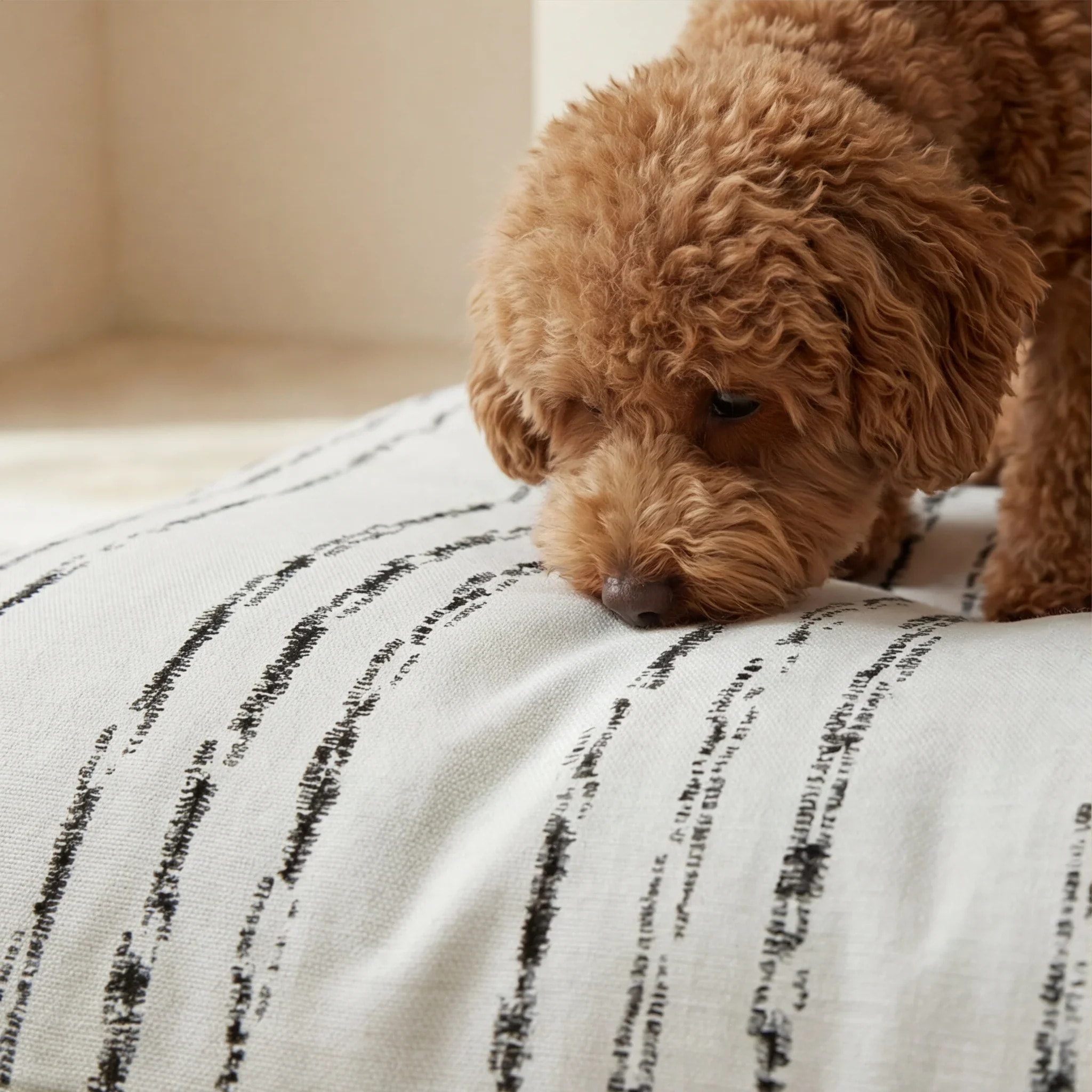 Housse antitaches pour lit pour animal Rufus