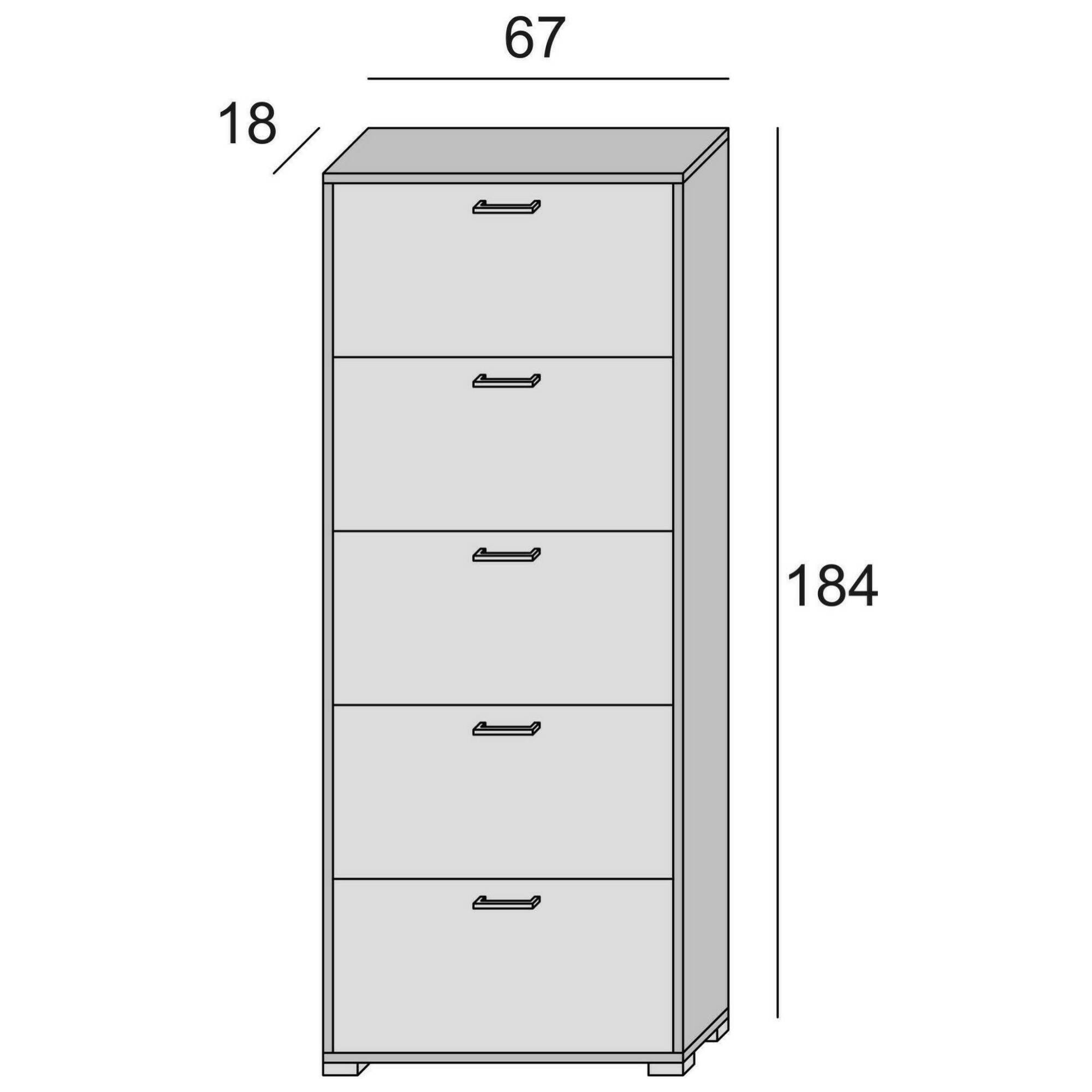 Scarpiera Margherita, Mobile multiuso da ingresso con 5 ante a ribalta, Armadietto portascarpe moderno, 100% Made in Italy, Cm 67x18h184, Larice