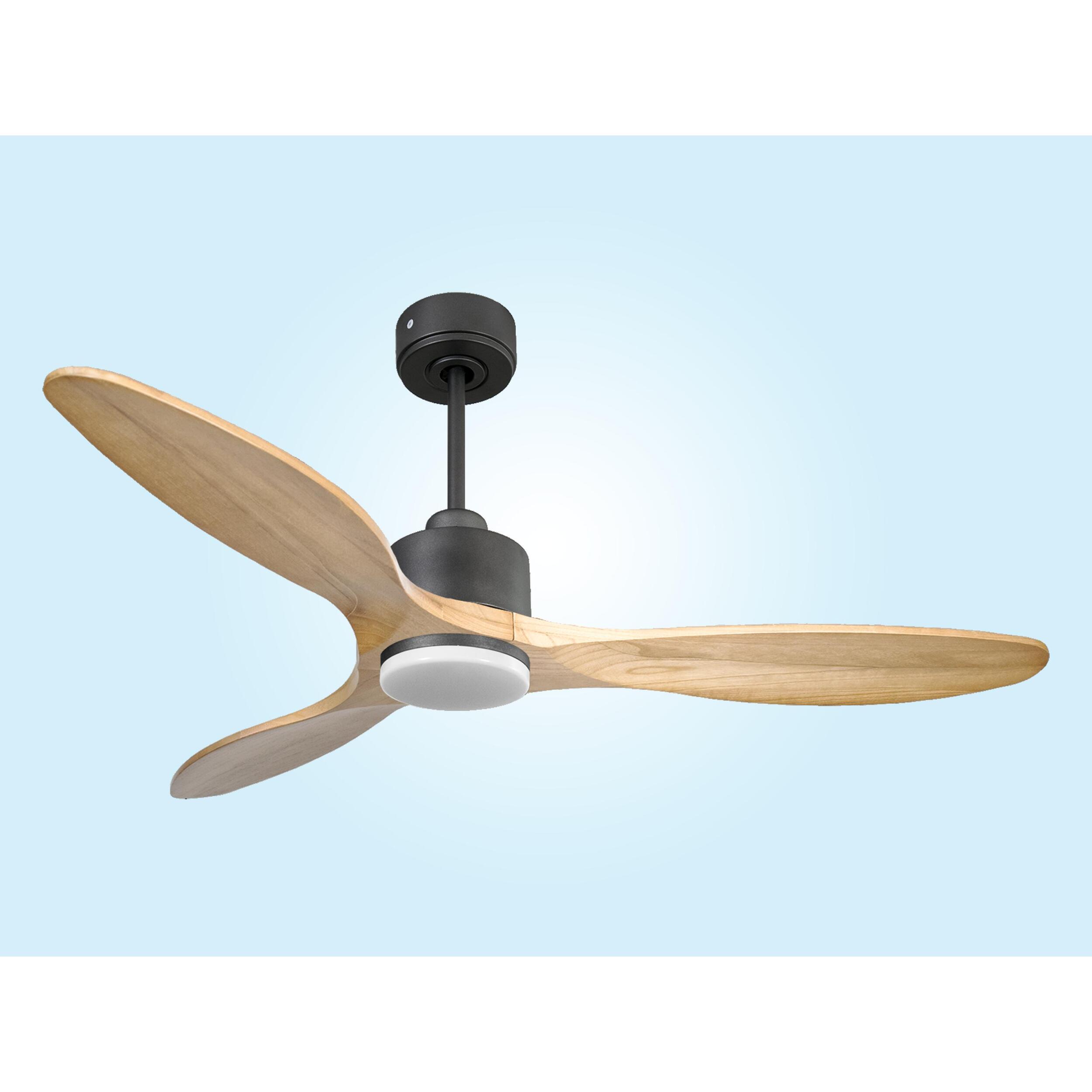 Ventilateur de plafond Réversible  Thermostat Dimmable Wifi Moteur à courant continu Toits en pente Télécommande Lumière à trois tons Hypersilence Mémoire