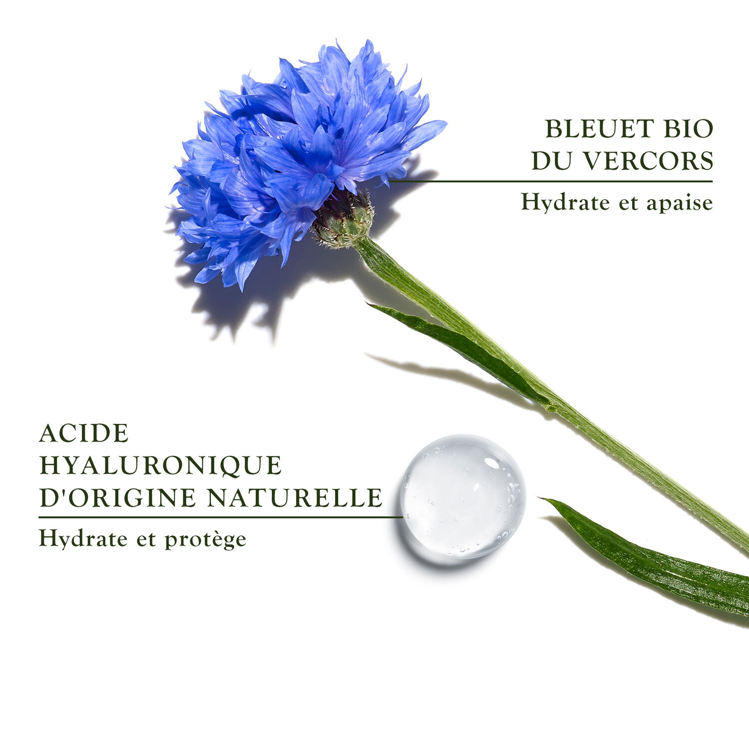 Crème Légère Aciana Botanica - Soin Hydratant Intensif 50 ml