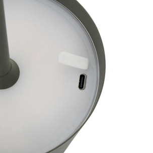 Lampe d'extérieur Cody H37cm vert laurier