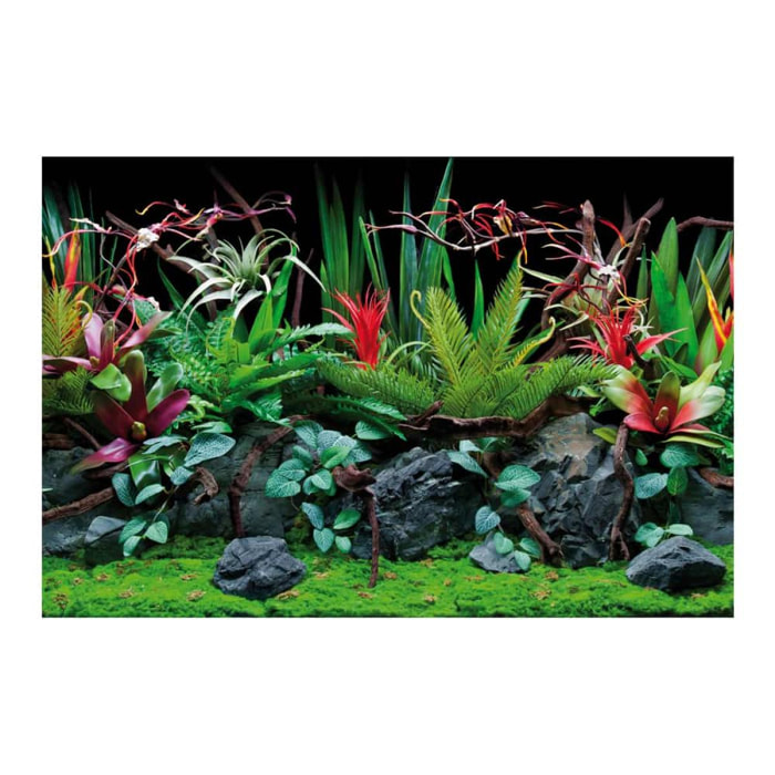 Sfondo acquario doppio - Flora Blister 30 cm x 60 cm - Amtra