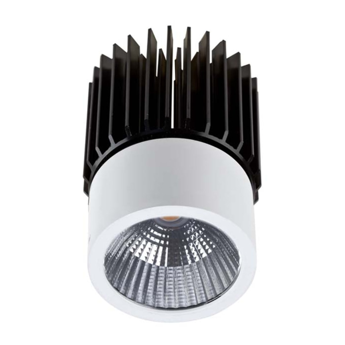 LEDS·C4 Downlight Play 13W 2700K Cri 80 32.4º Blanco Ip20 1249Lm