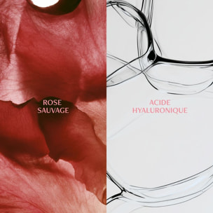 Source de Roses - Crème Fraiche Repulpante