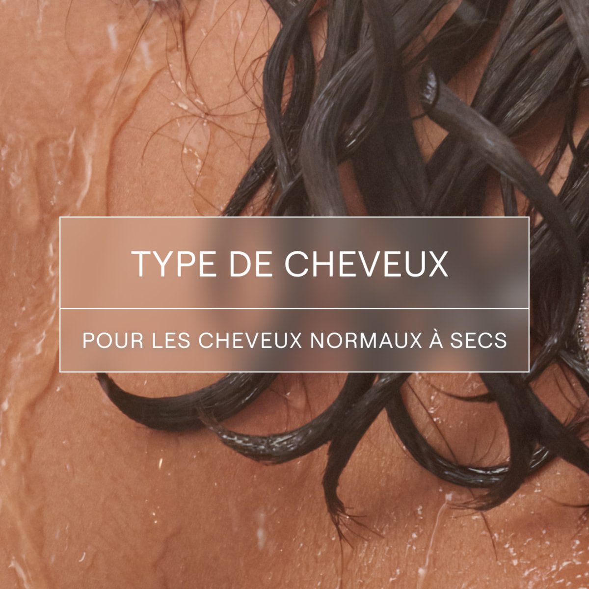 WELEDA - Shampooing solide Hydratation et Brillance - 50g