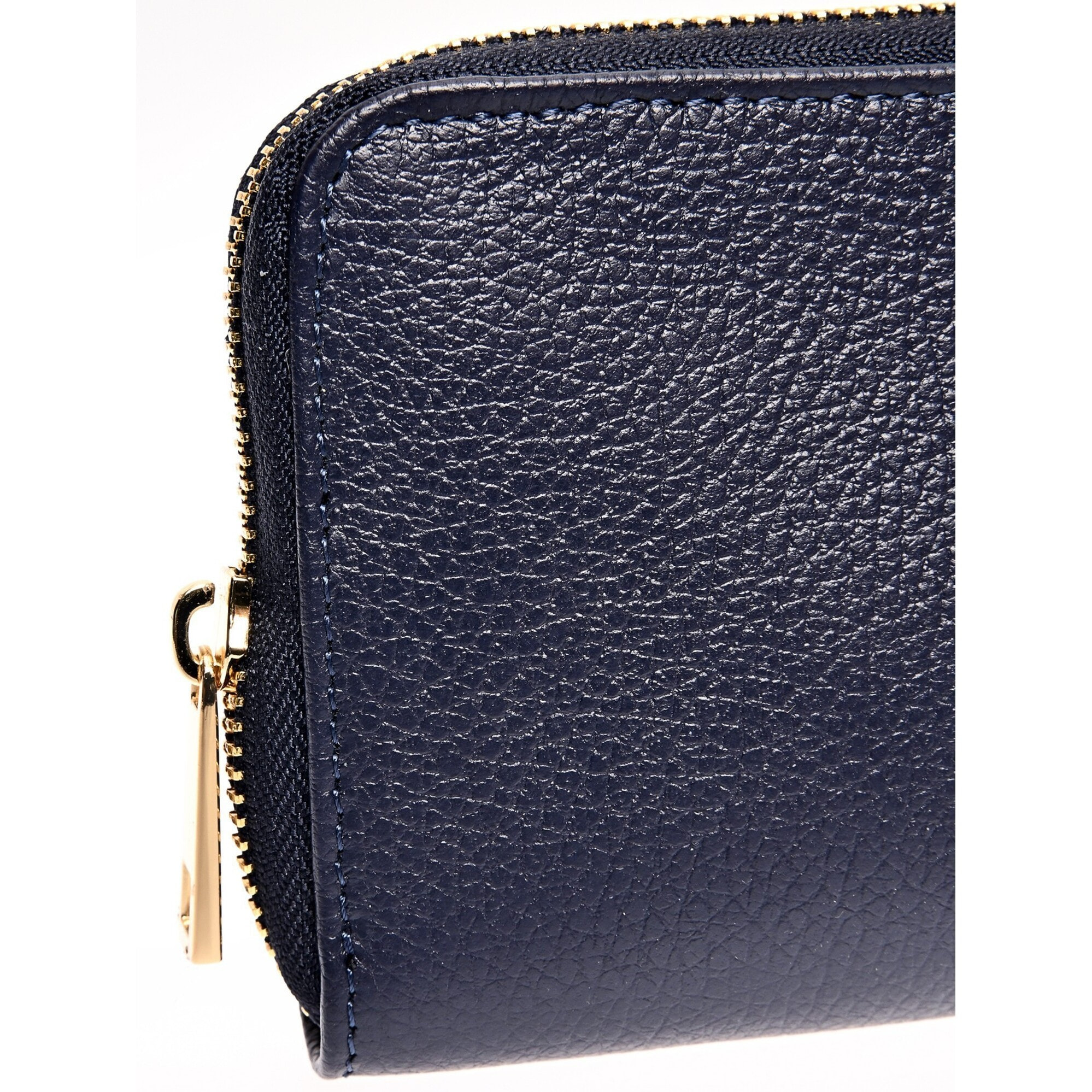 Portafoglio Anna Luchini Blu