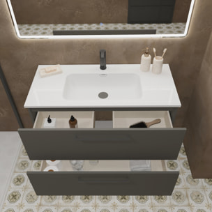 Conjunto de Baño Vex | 100 cm Gris| Dos Cajones | Lavabo Encastrado | No incluye Espejo | Mueble Montado | Alday