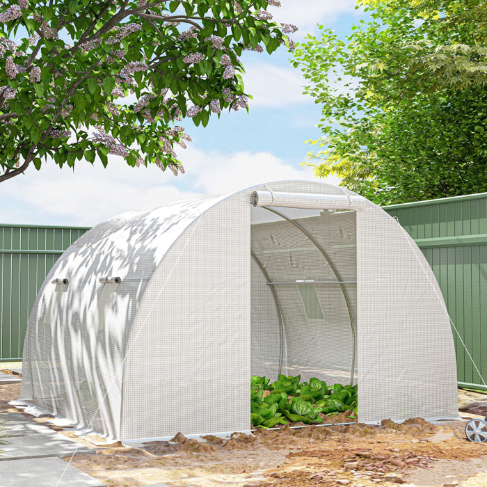 Serre de jardin tunnel 4 fenêtres acier galvanisé bâche PE blanc