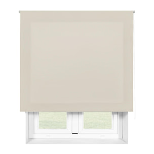 Store enrouleur Polyester Translucide 120x250