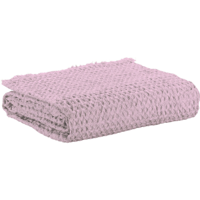 Plaid jaya 100% polyester blush