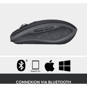 Souris sans fil rechargeable LOGITECH MX Anywhere 2S Gris pale