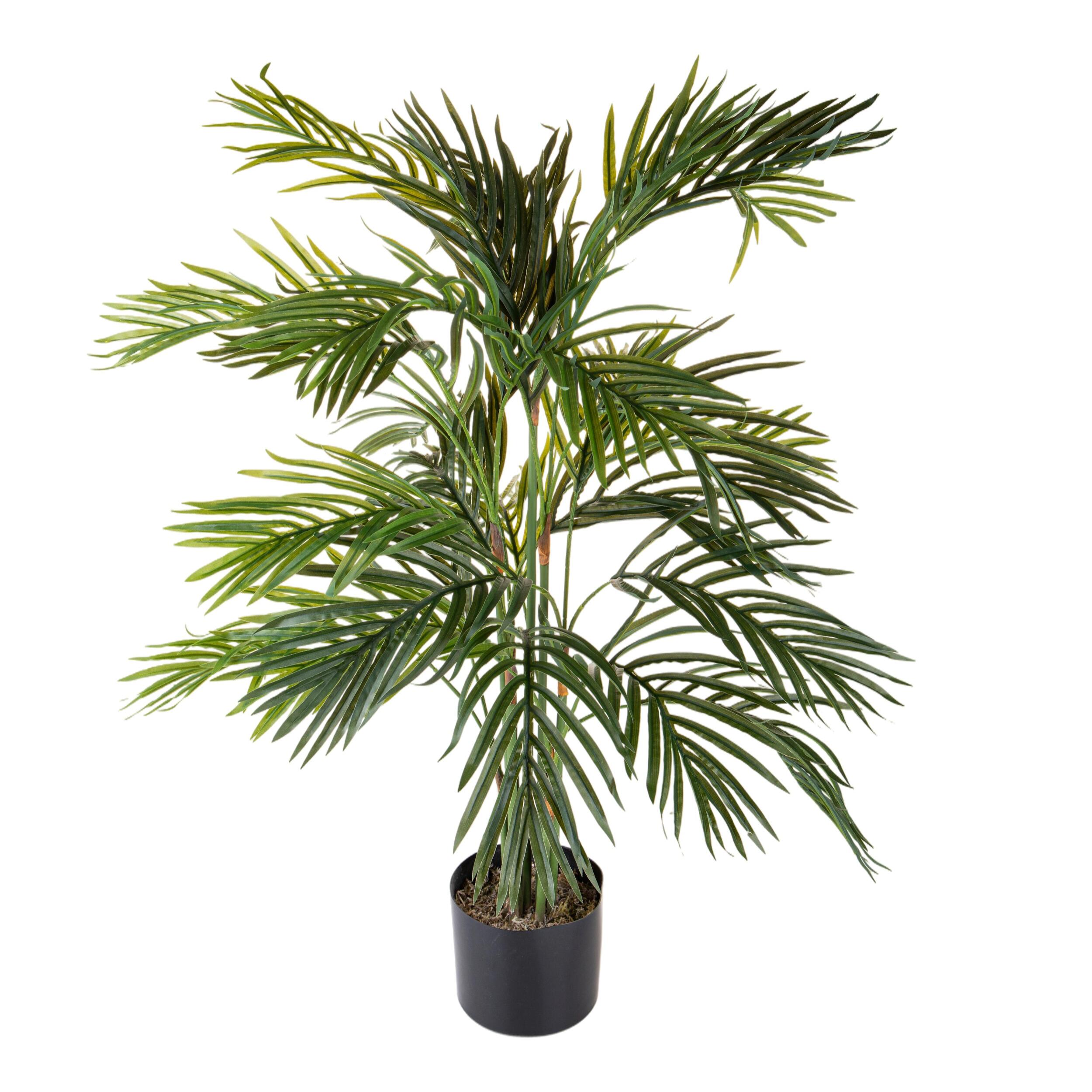 Areca con vaso - Pezzi 1 - Colore: Verde - 60xH95x60cm - Bianchi Dino