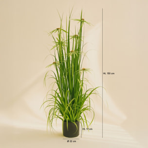Plante graminée avec fleurs artificielle h150cm AQUAPLANTER