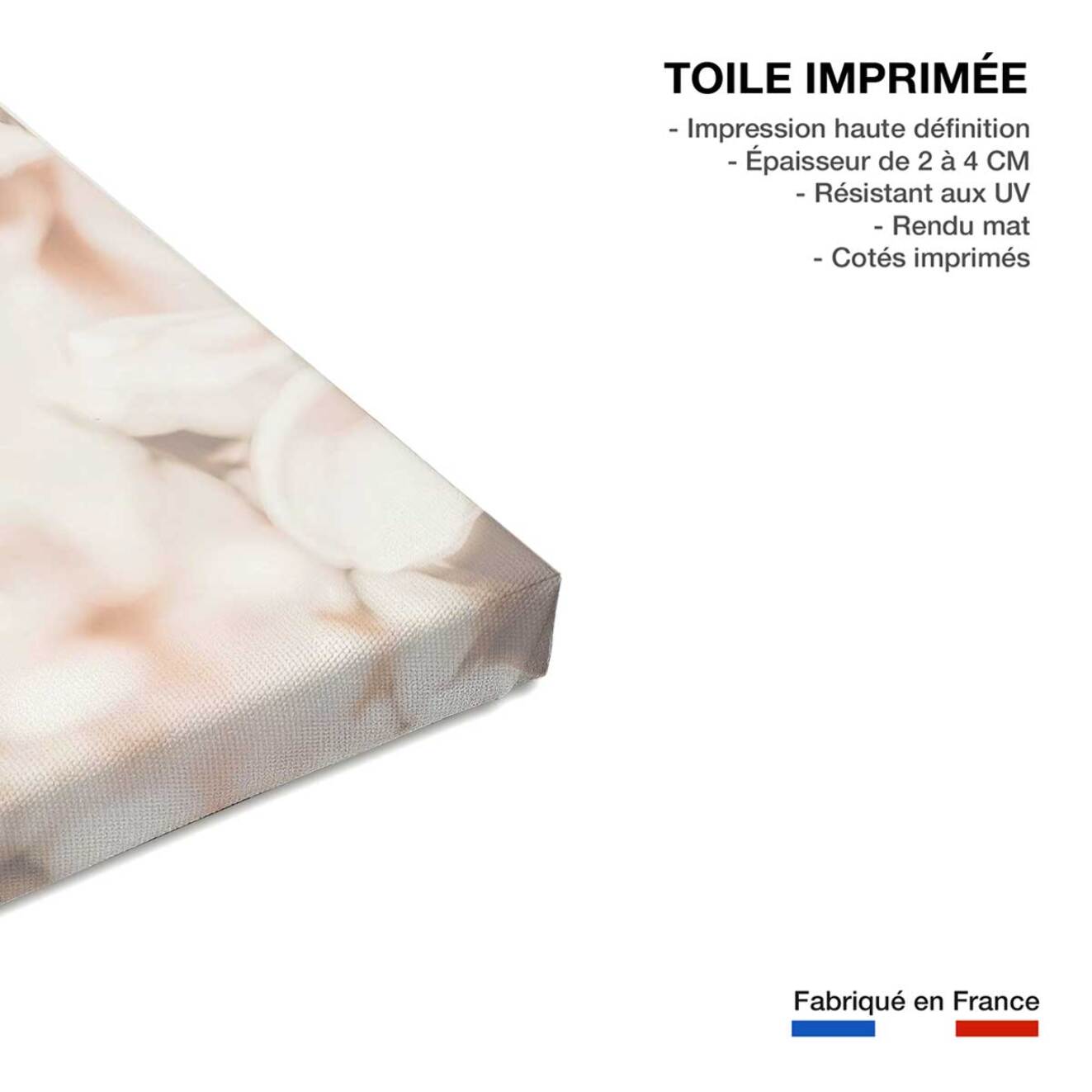 Tableau de fleurs douceur et fleurs printanières  Toile imprimée