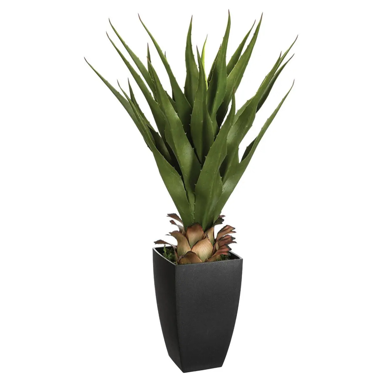 Agave artificielle H73 cm