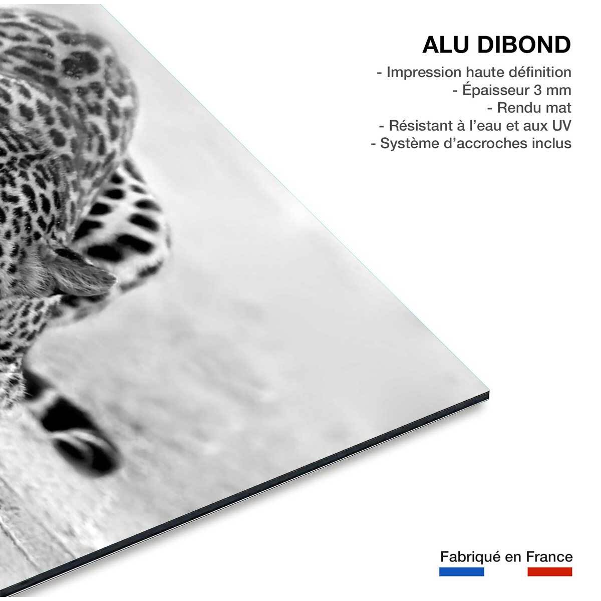 Tableau leopard noir et blanc Tableau alu Dibond
