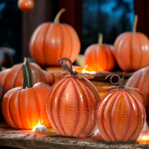 Zucca - Pezzi 1 - 33xH30x10cm - Bianchi Dino SpA