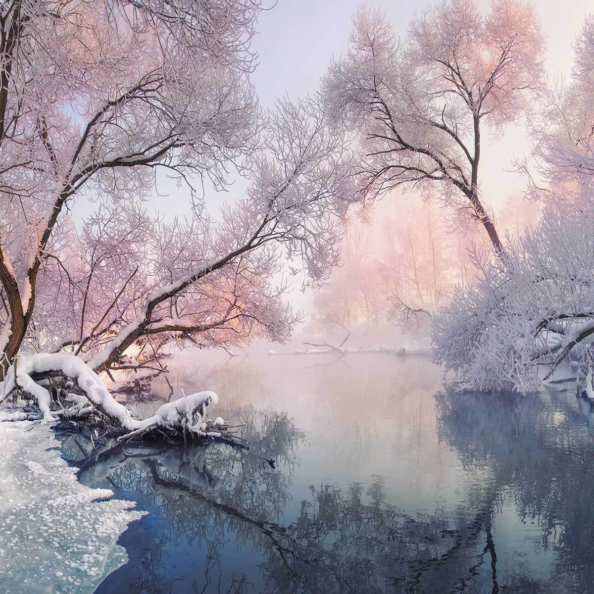 Affiche paysage Chrismas lac Affiche sous cadre bois