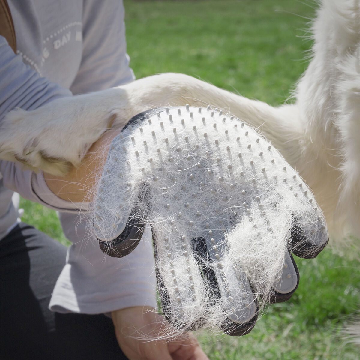 Pack Guanto per Pettinare e Massaggiare Animali Domestici e Guinzaglio Retrattile per Cani 6 in 1 InnovaGoods