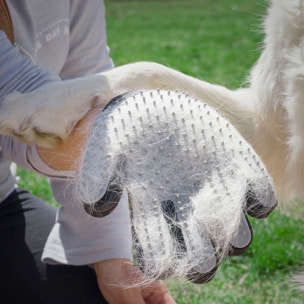 Pack Guanto per Pettinare e Massaggiare Animali Domestici e Guinzaglio Retrattile per Cani 6 in 1 InnovaGoods