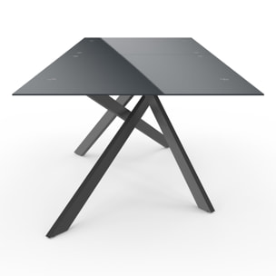 Table de jardin plateau en verre trempé noir et pieds croisés 240cm