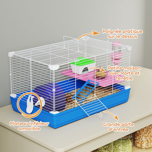 Cage rongeur hamster 2 niveaux cabane roue échelle biberon mangeoire 47 x 30 x 27 cm bleu blanc