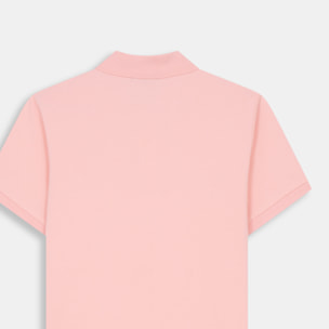 POLO ICON COLORS