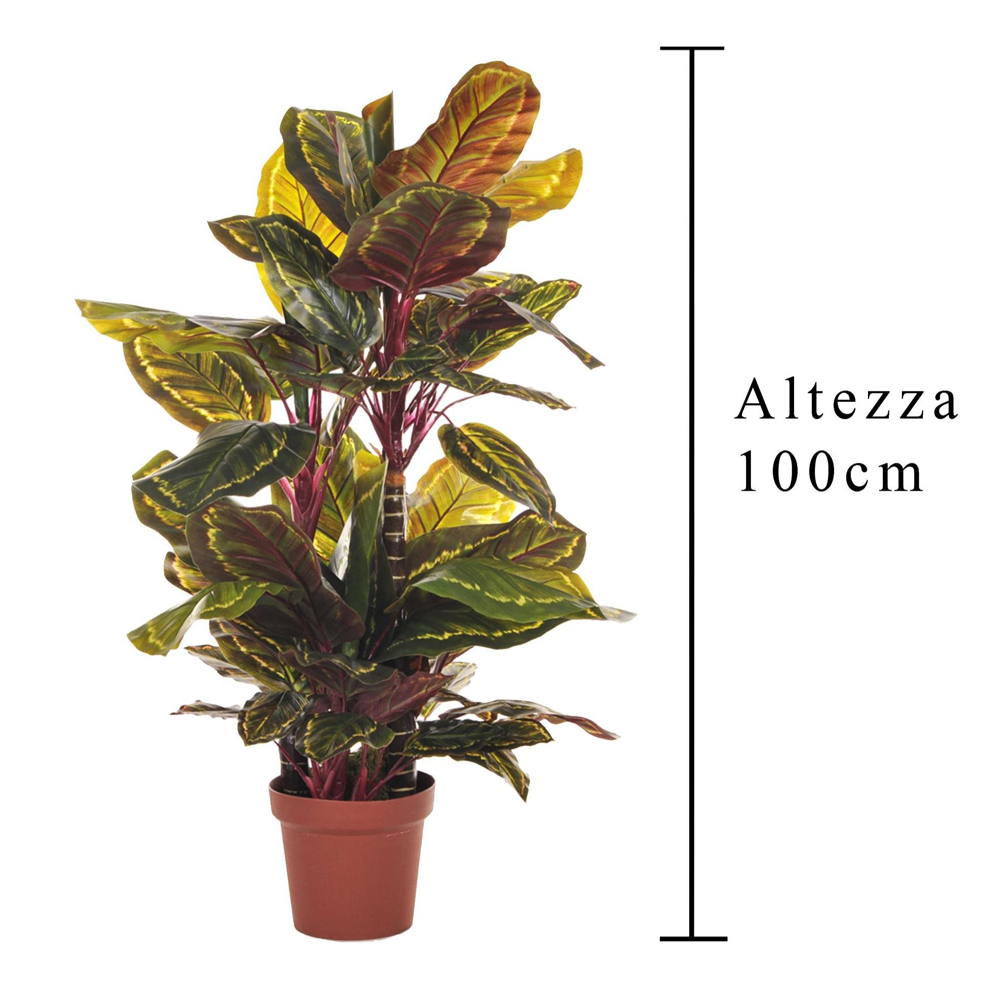 Calathea Con Vaso, 72 Foglie. Altezza 100 Cm - Pezzi 1 - 70X100X70cm - Colore: Verde - Bianchi Dino - Piante Artificiali