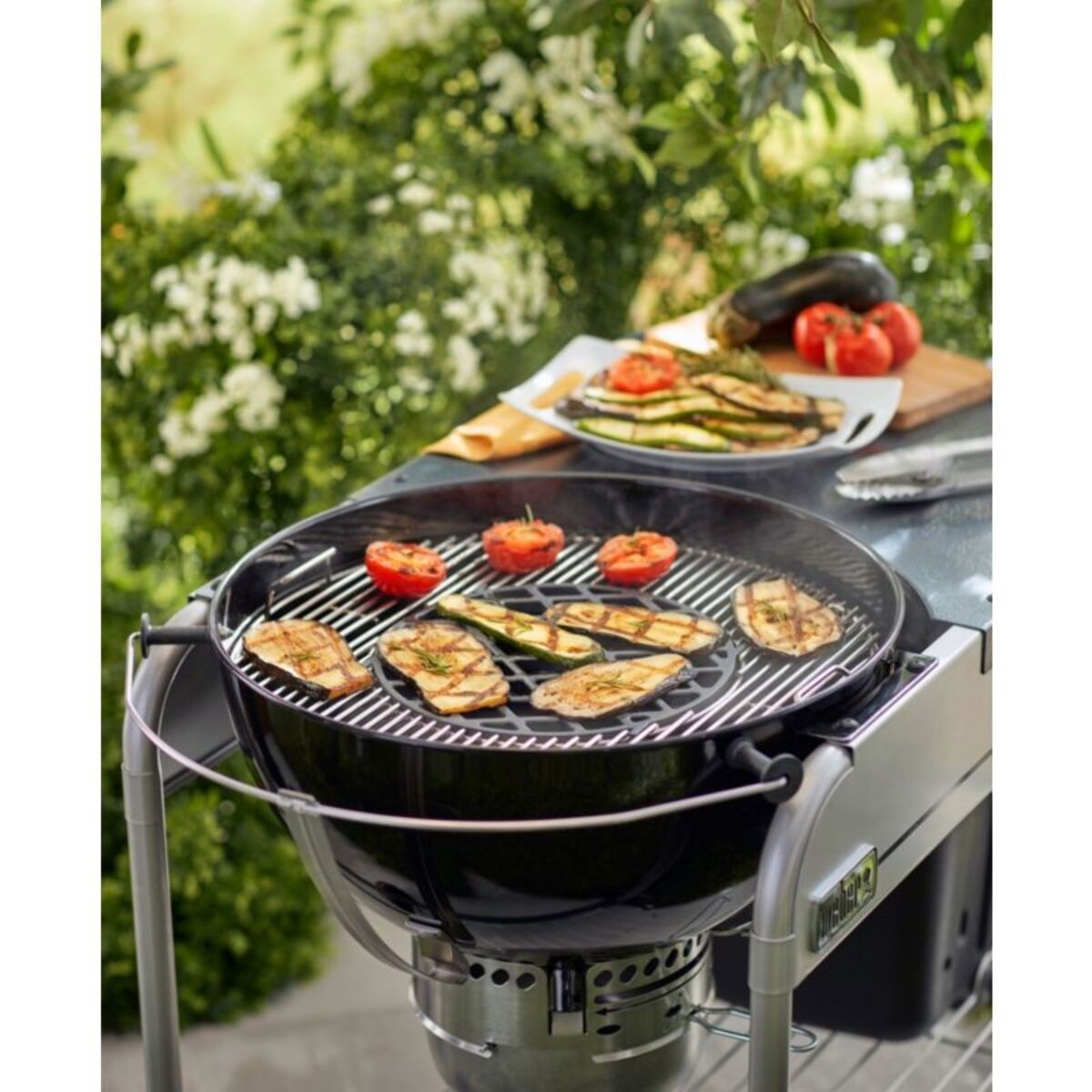 Grille barbecue WEBER de saisie Gourmet BBQ System GBS