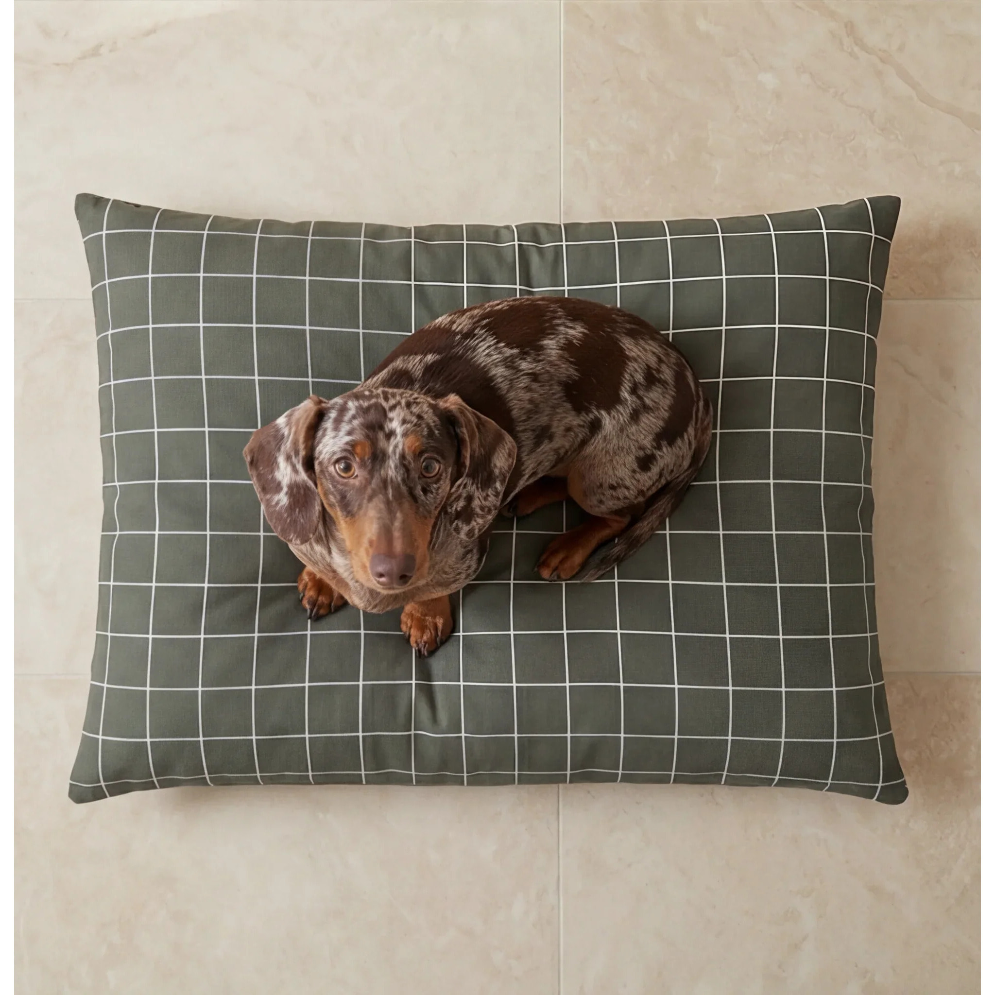 Housse antitaches pour lit pour animal Pumba Vert