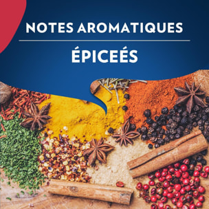 Café Grains Momento Vivace 1kg