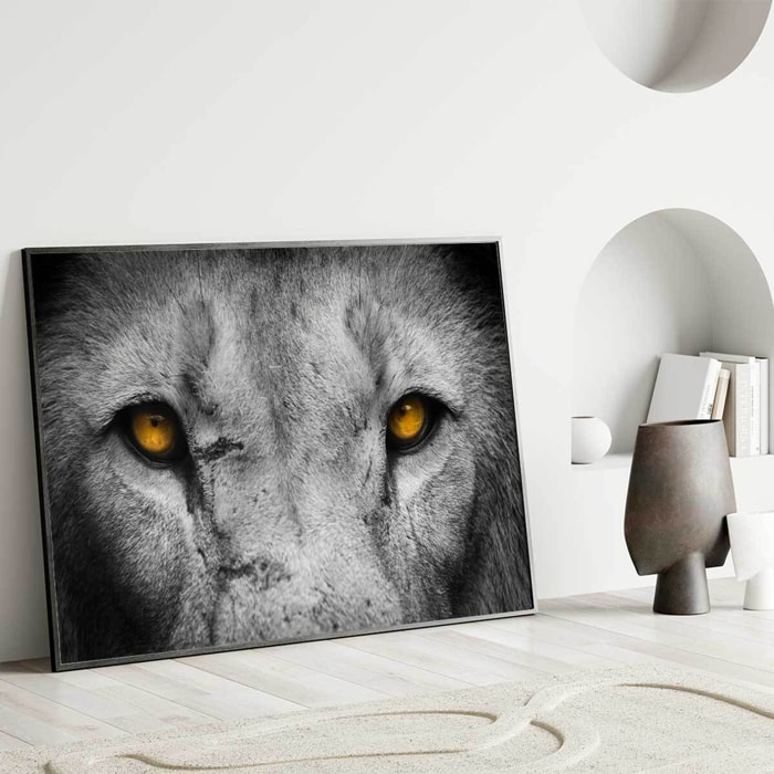 Affiche encadrée regard de loup en gros plan Affiche + cadre en métal - Noir