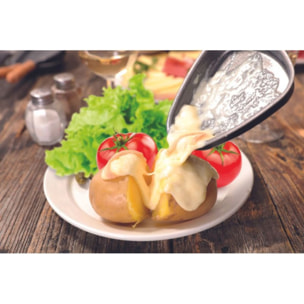 coupelle TEFAL lot 2 poelons à raclette ovales