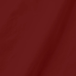 Lot de 2 sets de table anti-taches Rouge Uni